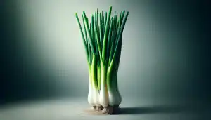 Scallion
