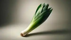 Leek