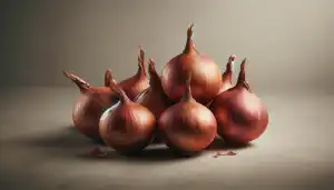 Shallot